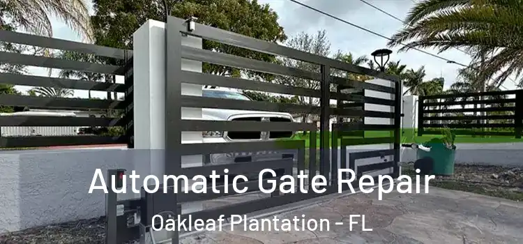  Automatic Gate Repair Oakleaf Plantation - FL