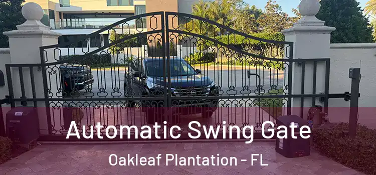 Automatic Swing Gate Oakleaf Plantation - FL