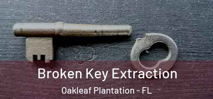 Broken Key Extraction Oakleaf Plantation - FL