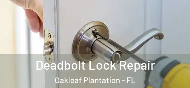  Deadbolt Lock Repair Oakleaf Plantation - FL