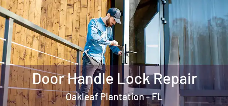 Door Handle Lock Repair Oakleaf Plantation - FL