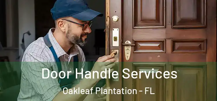 Door Handle Services Oakleaf Plantation - FL