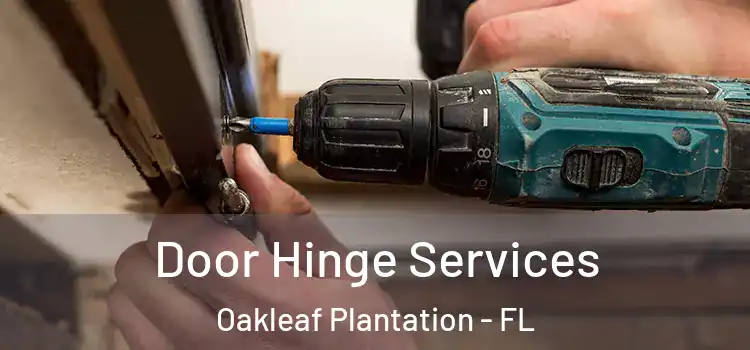 Door Hinge Services Oakleaf Plantation - FL