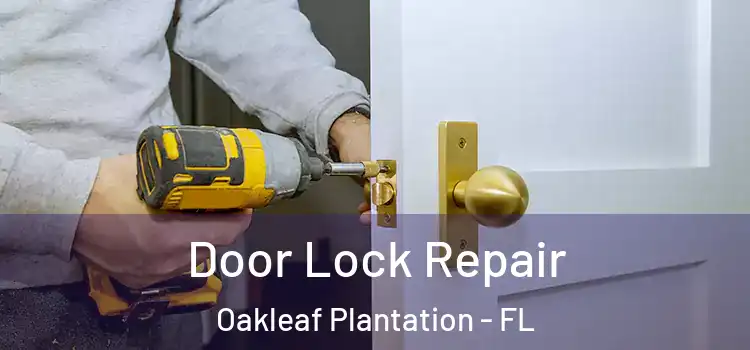  Door Lock Repair Oakleaf Plantation - FL
