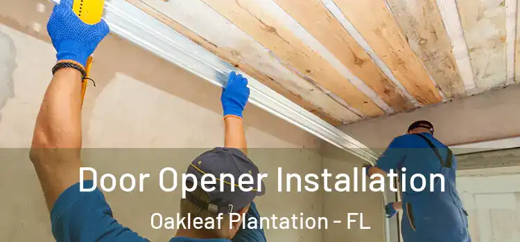  Door Opener Installation Oakleaf Plantation - FL