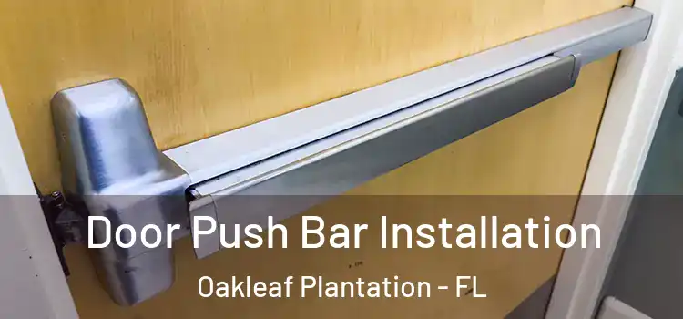 Door Push Bar Installation Oakleaf Plantation - FL