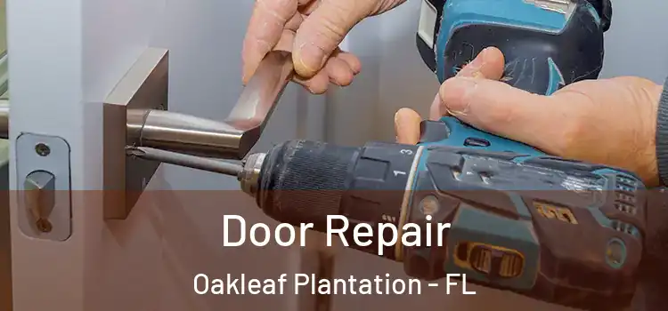  Door Repair Oakleaf Plantation - FL