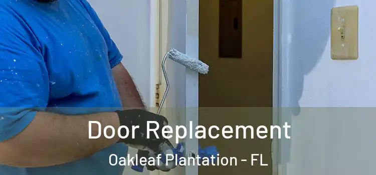 Door Replacement Oakleaf Plantation - FL