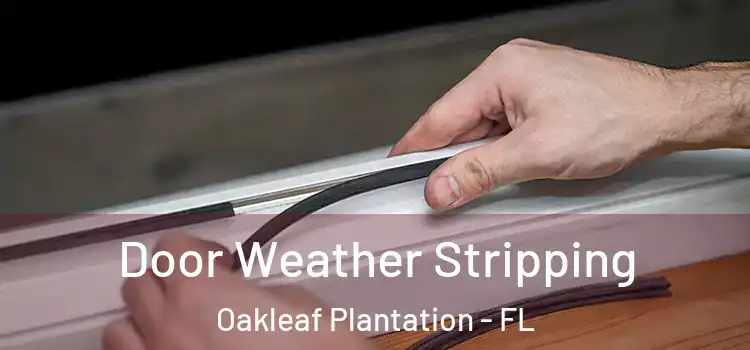 Door Weather Stripping Oakleaf Plantation - FL