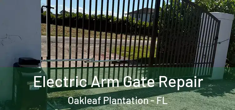 Electric Arm Gate Repair Oakleaf Plantation - FL