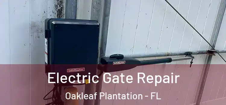  Electric Gate Repair Oakleaf Plantation - FL