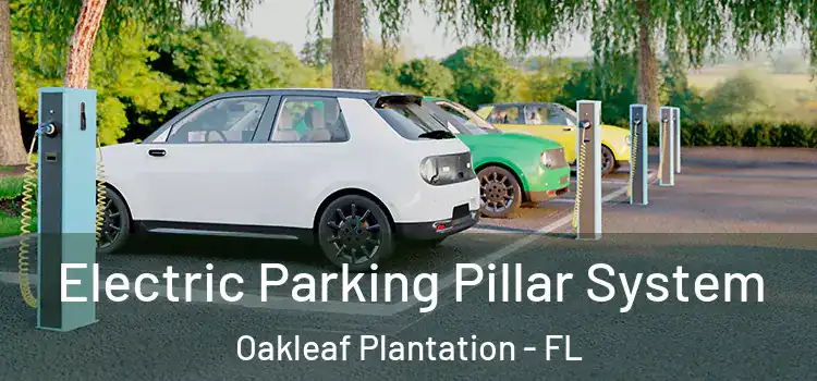  Electric Parking Pillar System Oakleaf Plantation - FL