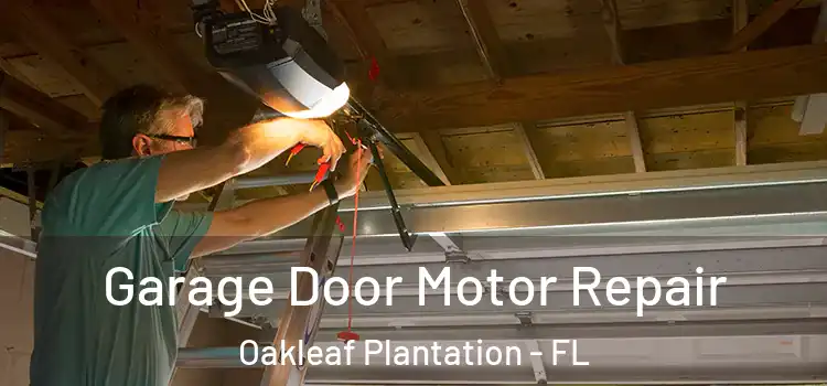  Garage Door Motor Repair Oakleaf Plantation - FL