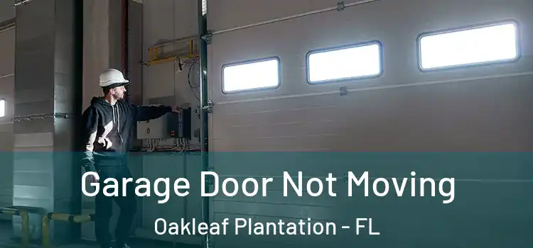  Garage Door Not Moving Oakleaf Plantation - FL