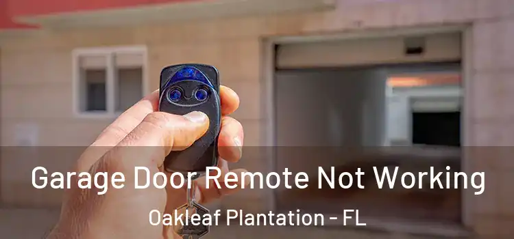  Garage Door Remote Not Working Oakleaf Plantation - FL