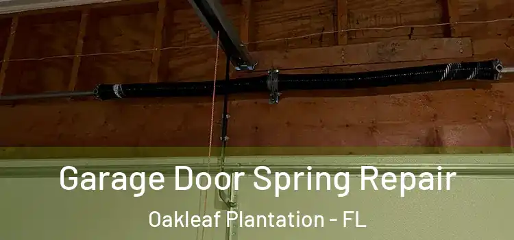 Garage Door Spring Repair Oakleaf Plantation - FL