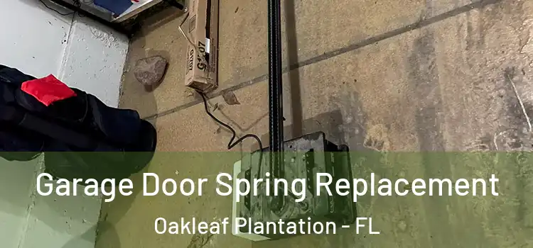  Garage Door Spring Replacement Oakleaf Plantation - FL