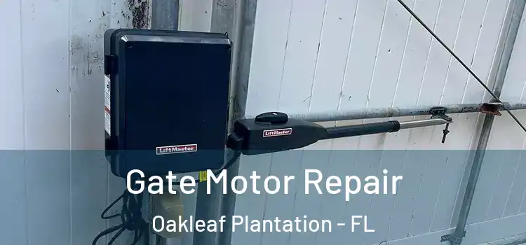 Gate Motor Repair Oakleaf Plantation - FL