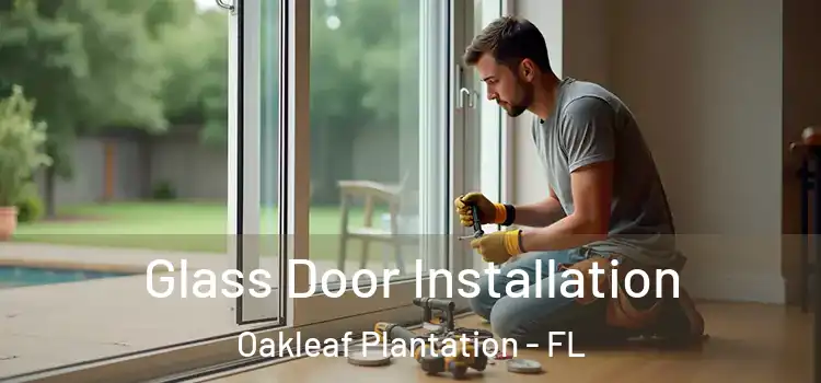  Glass Door Installation Oakleaf Plantation - FL