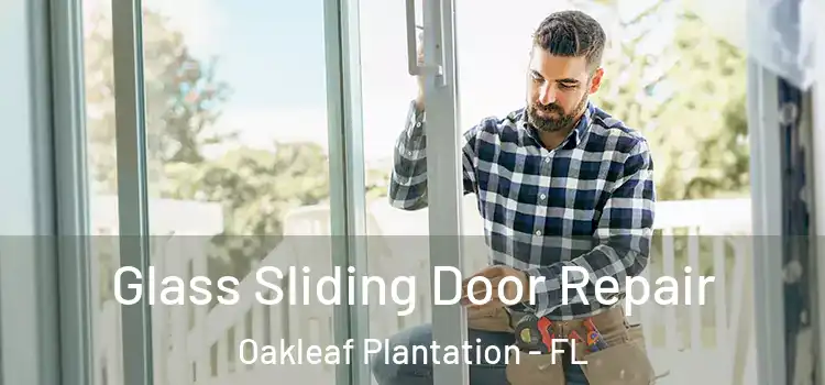  Glass Sliding Door Repair Oakleaf Plantation - FL