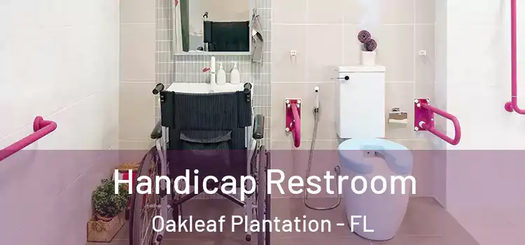 Handicap Restroom Oakleaf Plantation - FL