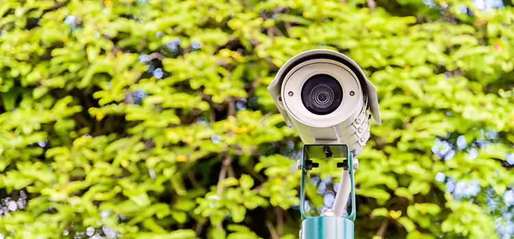 Advanced Surveillance Solutions for Every Need in Oakleaf Plantation
