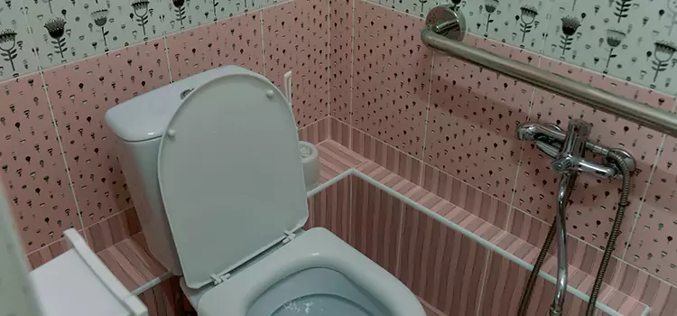Meeting Diverse Needs With Accessible Restroom Solutions in Oakleaf Plantation, FL