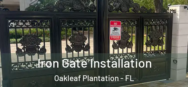 Iron Gate Installation Oakleaf Plantation - FL