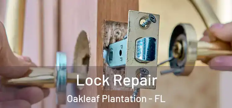 Lock Repair Oakleaf Plantation - FL