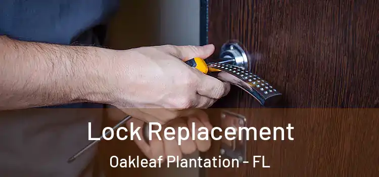 Lock Replacement Oakleaf Plantation - FL