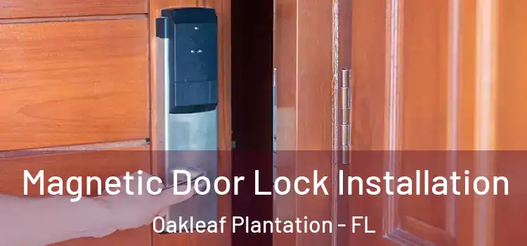  Magnetic Door Lock Installation Oakleaf Plantation - FL