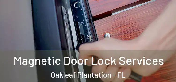  Magnetic Door Lock Services Oakleaf Plantation - FL