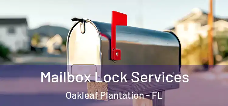 Mailbox Lock Services Oakleaf Plantation - FL