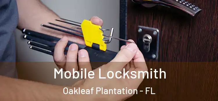 Mobile Locksmith Oakleaf Plantation - FL