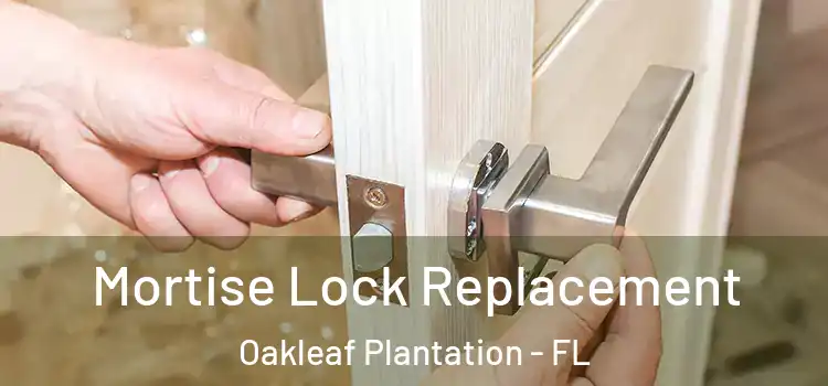  Mortise Lock Replacement Oakleaf Plantation - FL