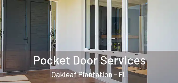Pocket Door Services Oakleaf Plantation - FL