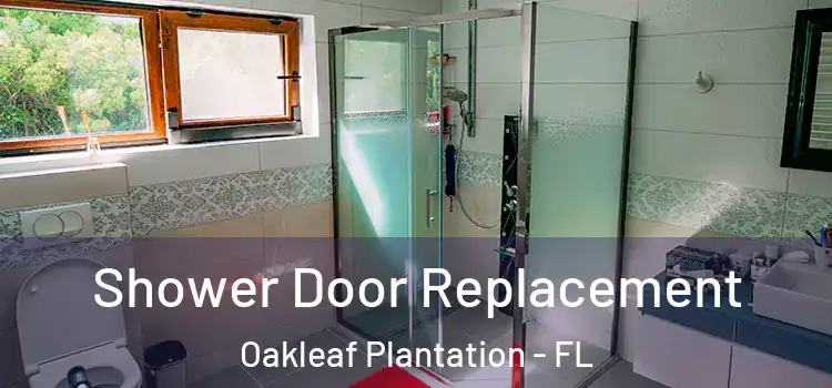  Shower Door Replacement Oakleaf Plantation - FL