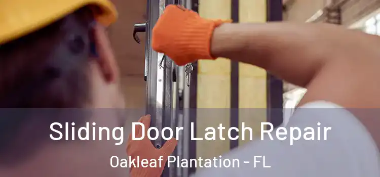  Sliding Door Latch Repair Oakleaf Plantation - FL
