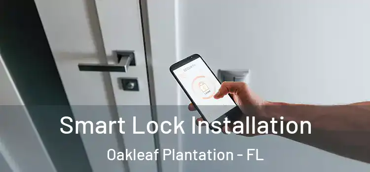  Smart Lock Installation Oakleaf Plantation - FL