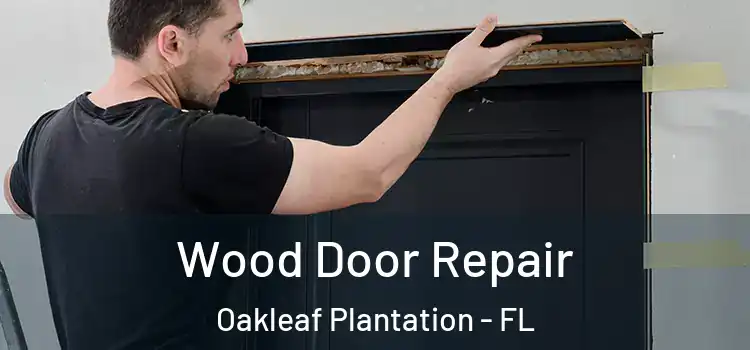  Wood Door Repair Oakleaf Plantation - FL