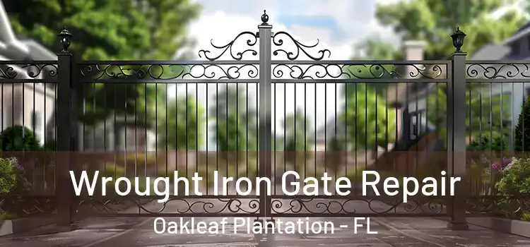  Wrought Iron Gate Repair Oakleaf Plantation - FL